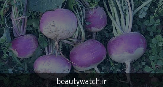 بازی با کودک یک ساله برای تقویت هوش